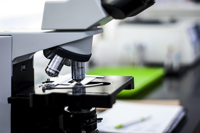 研究聚氨酯凝胶胺催化剂33lv的催化机制，以精确控制聚氨酯反应的速率。