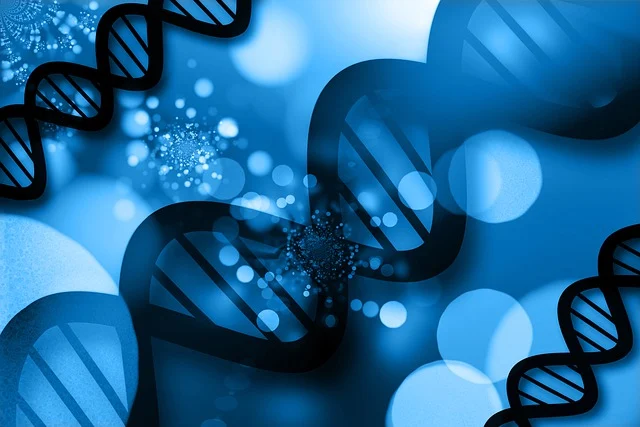 聚氨酯软泡zf-22在制备高强度聚氨酯泡沫复合材料中的作用